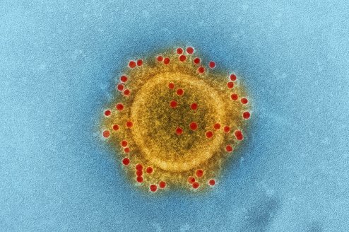 Coronavirus Unsplash