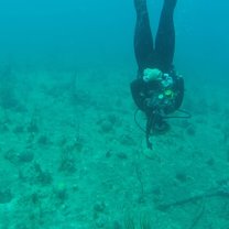 50ft. underwater and upside down!