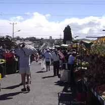 Explore the Markets of Heredia, Costa Rica with USAC