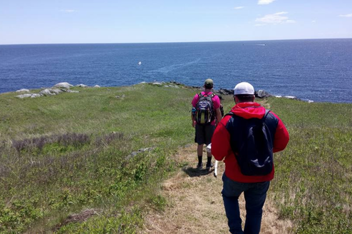 Domestic and Virtual Gap Years