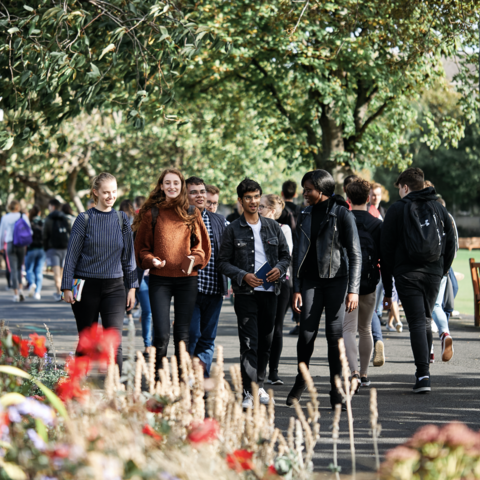 students in ireland